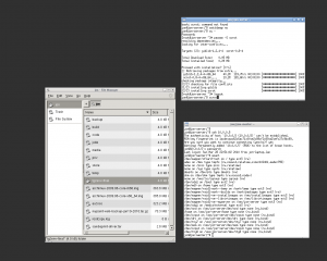 Xorg running on the host graphics card from within a cgroup
